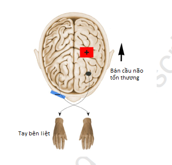 dquy bai3.1