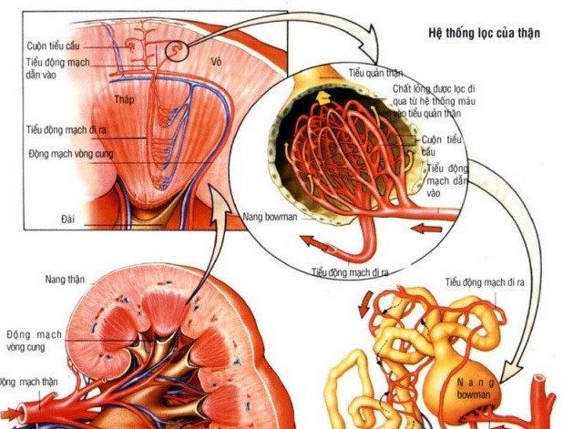 7. Tầm Quan Trọng Của Việc Phát Hiện Sớm và Điều Trị Kịp Thời