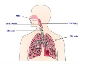 xay-dung-thanh-cong-quy-trinh-sang-loc-ung-thu-phe-quan.jpg